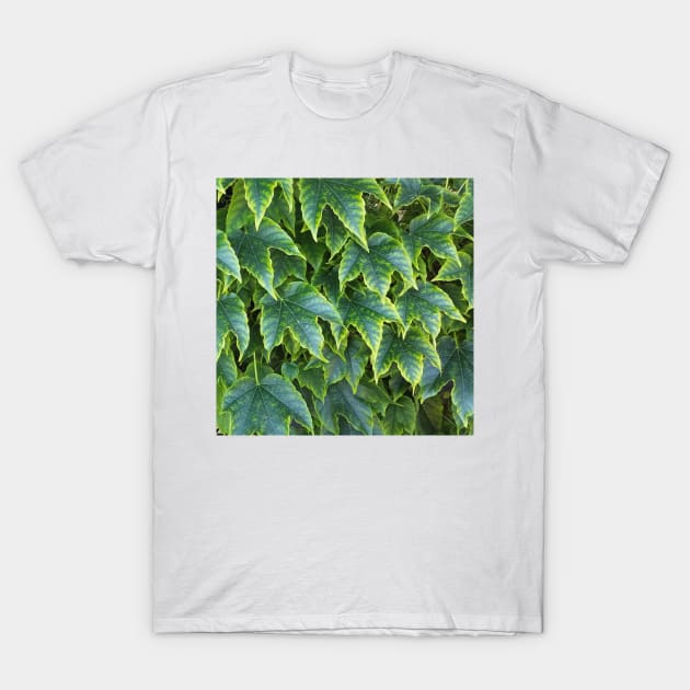 Green Yellow Ivy Leaves T-Shirt by DesignMore21